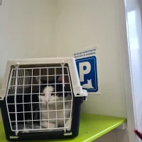 Dierenkliniek Losser-Oldenzaal