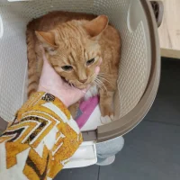 AniCura dierenkliniek Bossenbuurt