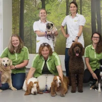 Dierenkliniek Arkel