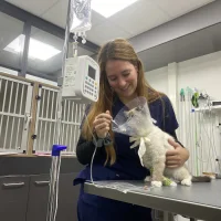 Dierenkliniek De Streek