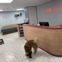 Dierenkliniek Beter Dier