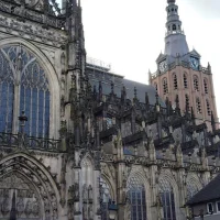 Vughtse Poort Dierenartsen