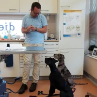 Dierenkliniek Ijsselstein - Tiranastraat