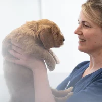 Anicura dierenkliniek Eersel