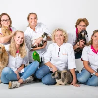 Dierenartspraktijk Breukelen