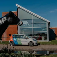 dierenartspraktijk dokkum E.O.