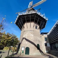 Dierenarts Ede
