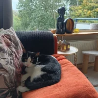 Dierenkliniek Voorburg