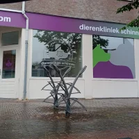 Dierenkliniek schinnen