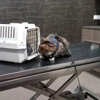 Dierenkliniek Lingewaard