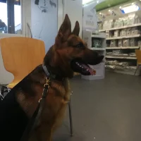 Dierenkliniek Twente