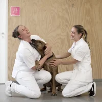 Medisch Centrum voor Dieren