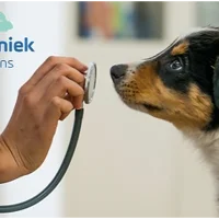 Dierenkliniek Coppelmans Nuenen