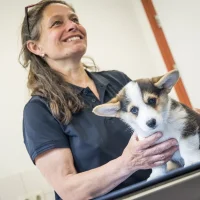 Diergeneeskundig Centrum Midden Salland