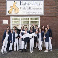 Kattenkliniek Parkstad Dierenzorg