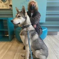 Sterkliniek Voor Gezelschapsdieren
