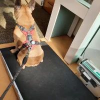 Dierenkliniek Aan de Laan
