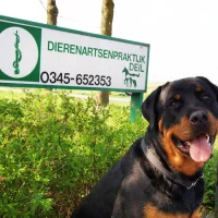 Dierenartsenpraktijk Deil