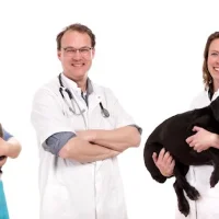 Dierenkliniek Broerdijk